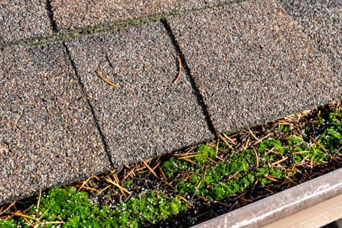 Granules in Gutters