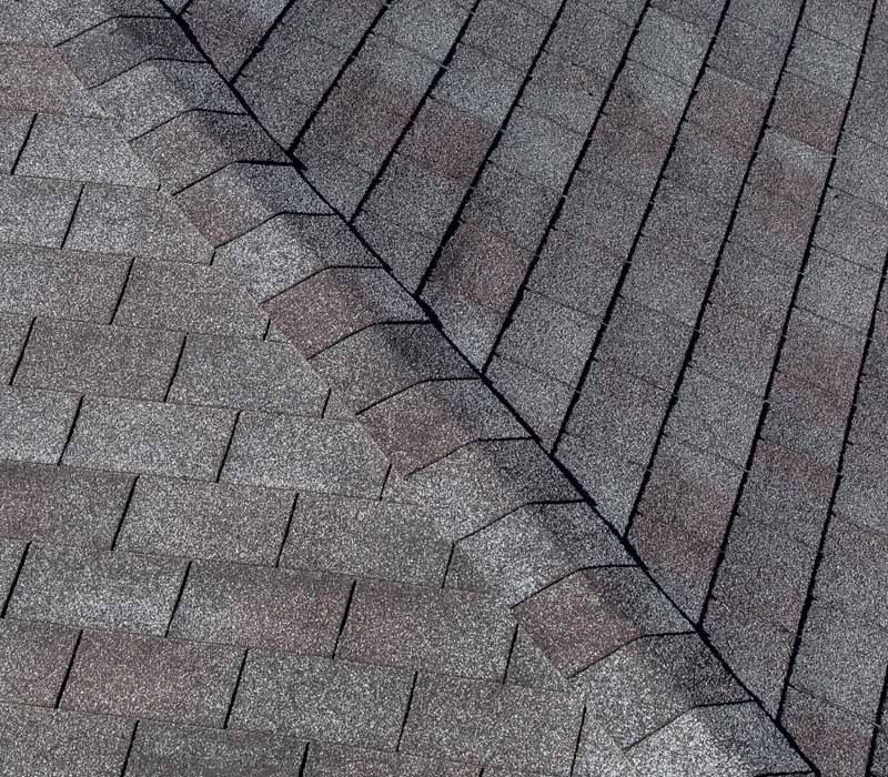 closeup of a roof shingle